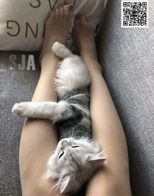 金瓶敏第1一5集在线观看_BD免费播放