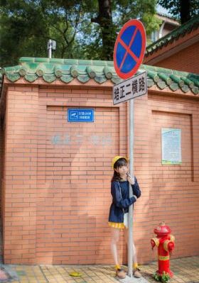 国产电视剧大全_DVD在线视频播放