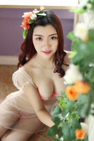 姐姐动漫1~6全集_1080免费观看电视剧